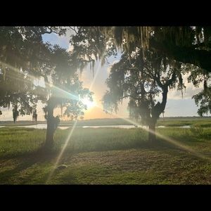 Meet your Posher, Tealok